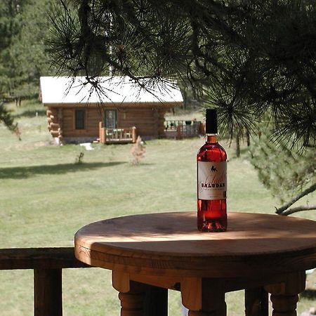 Renegade Log Cabin Custer Εξωτερικό φωτογραφία