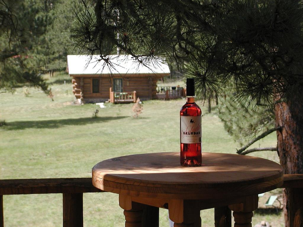 Renegade Log Cabin Custer Εξωτερικό φωτογραφία